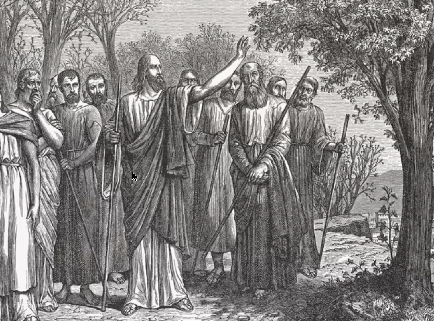 Jesus curses the fig tree.