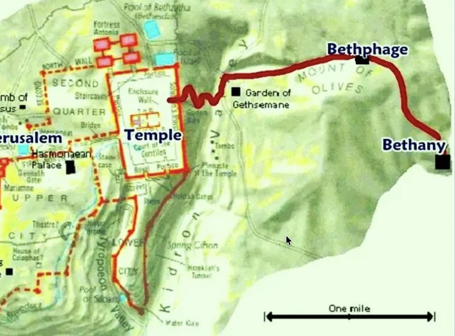 The route of Jesus' triumphal entry.